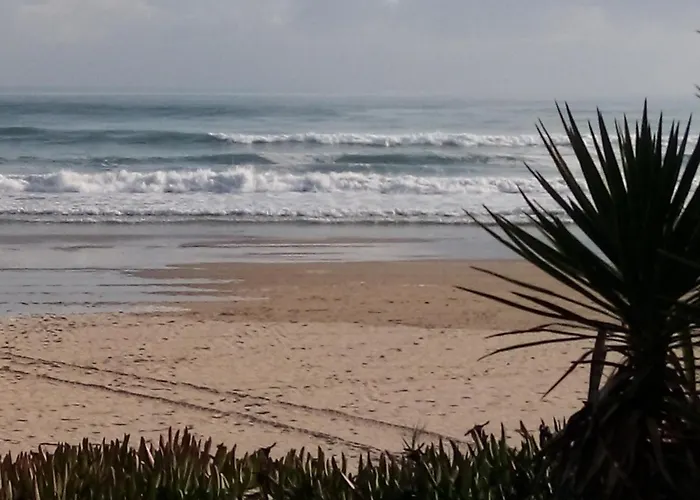 Marina Racons Edificio Leo Appartement *